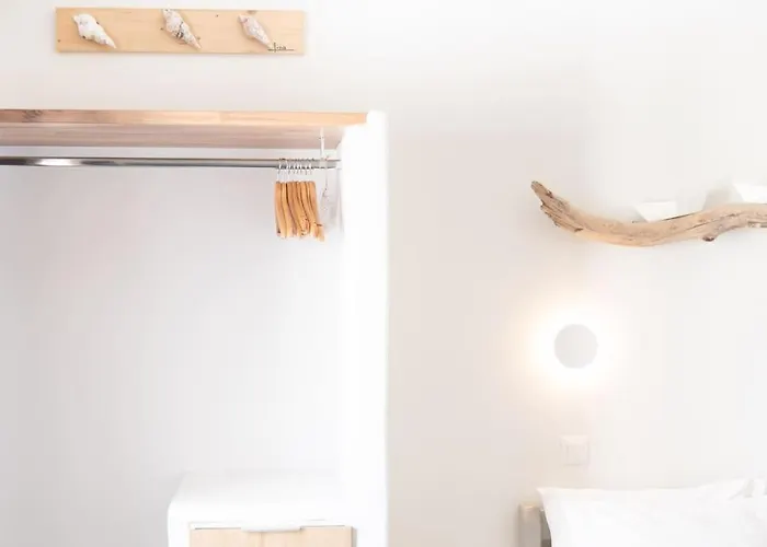 Swell S12 New In Apartman