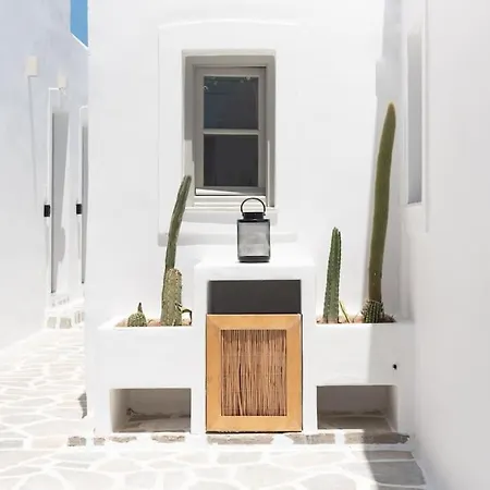 Apartment Swell S12 New In
