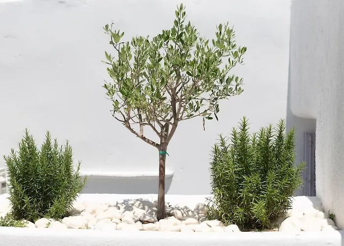 Swell S12 New In Apartamento